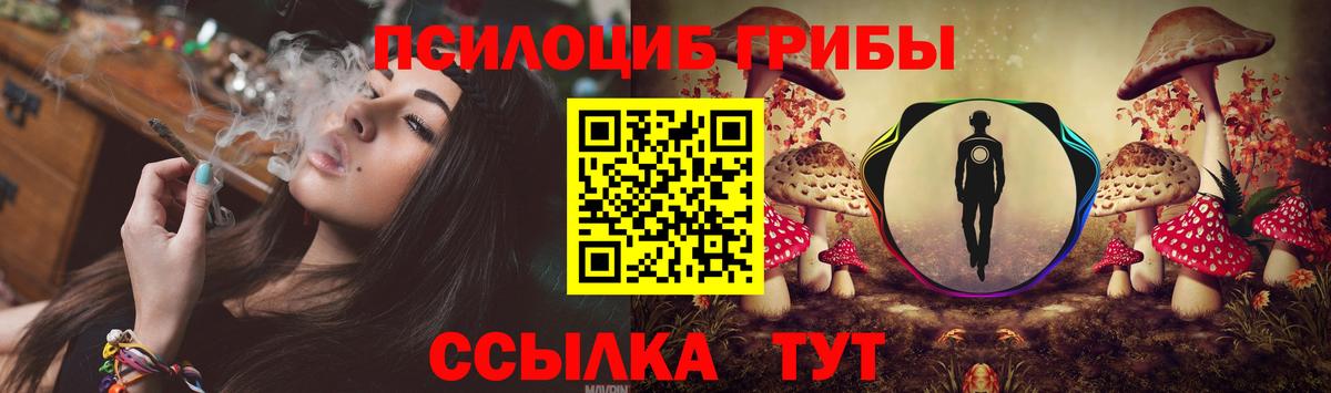 Псилоцибиновые грибы Cubensis  Псилоцибиновые грибы прущие грибы  Великий Новгород  Вход с VPN 